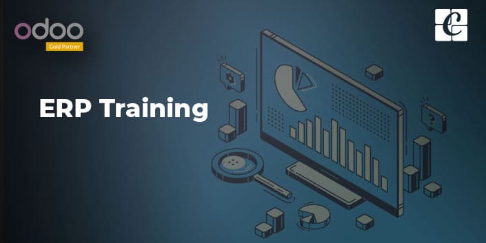 what-is-erp-training.jpg