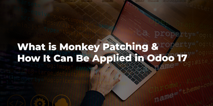 what-is-monkey-patching-and-how-it-can-be-applied-in-odoo-17.jpg