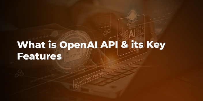 what-is-openai-api-and-its-key-features.jpg