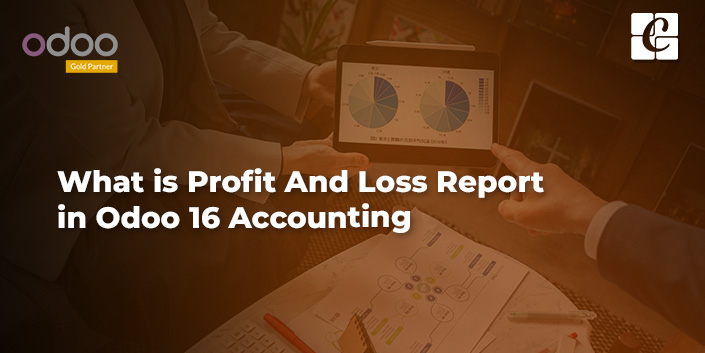 what-is-profit-and-loss-report-in-odoo-16-accounting.jpg