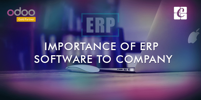 what-is-the-importance-of-erp-for-business-organizations.png