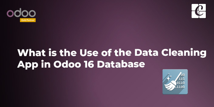 what-is-the-use-of-the-data-cleaning-app-in-odoo-16-database.jpg