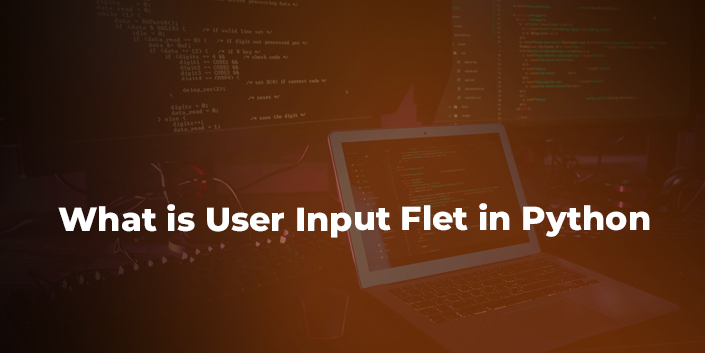 what-is-user-input-flet-in-python.jpg