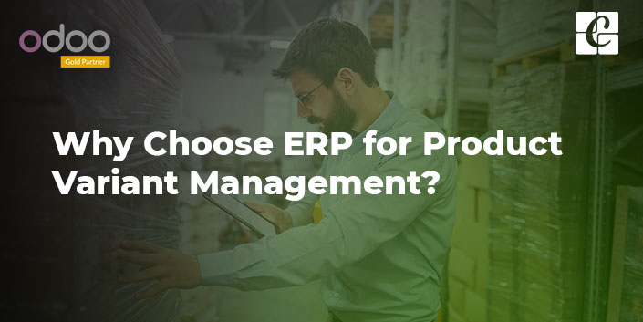 why-choose-erp-for-product-variant-management.jpg