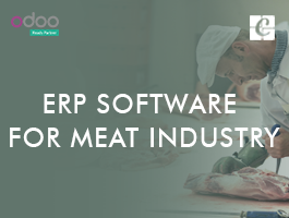 ERP Software for Meat Industry