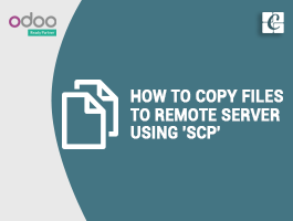  Copying Multiple Files Simultaneously Using scp