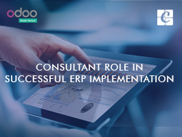  Consultant Role in Successful ERP Implementation
