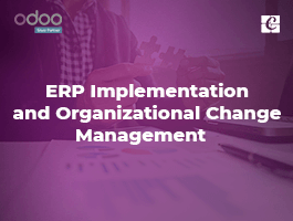  ERP Implementation and Organizational Change Management