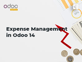  Expense Management in Odoo 14