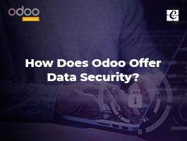  How Does Odoo Offer Data Security?