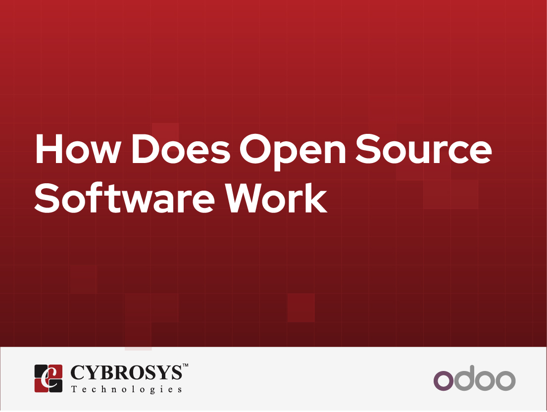  How Does Open Source Software Work