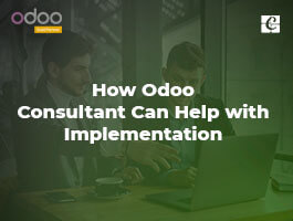  How Odoo Consultant Can Help with Implementation