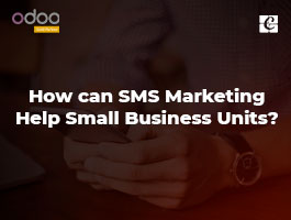  How can SMS Marketing help Small Business Units?