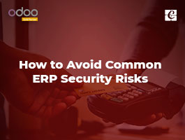  How to Avoid Common ERP Security Risks