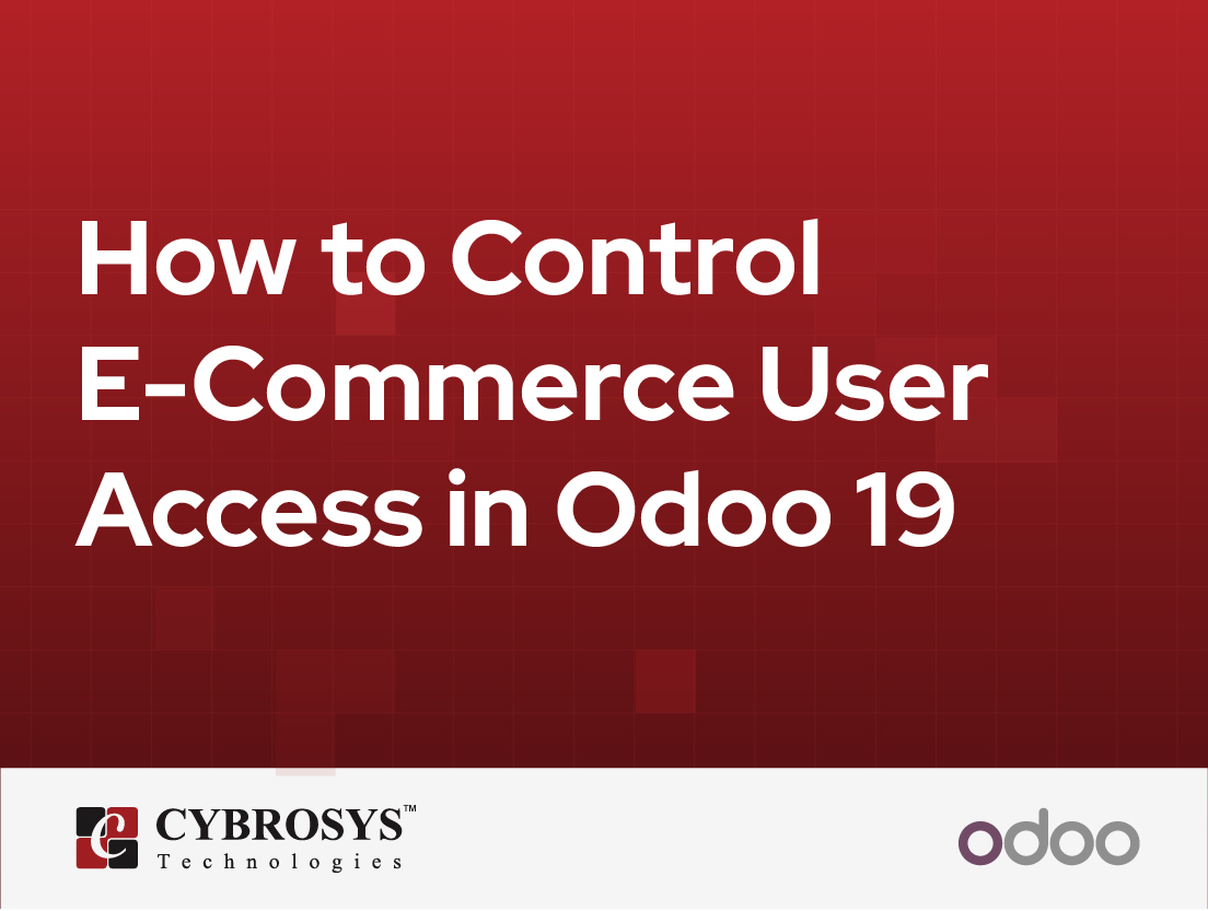  How to Control E-Commerce User Access in Odoo 19