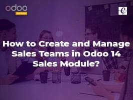  How to Create and Manage Sales Teams in Odoo 14 Sales Module