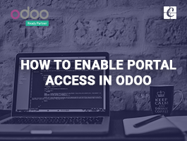  How to enable portal access in odoo?