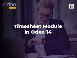  How to Make the Best of the Timesheet Module in Odoo 14