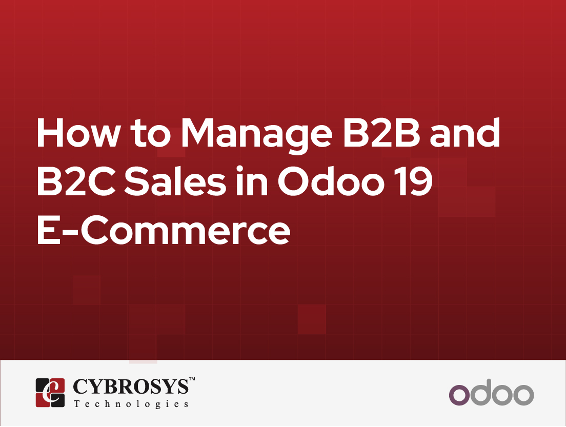  How to Manage B2B and B2C Sales in Odoo 19 E-Commerce