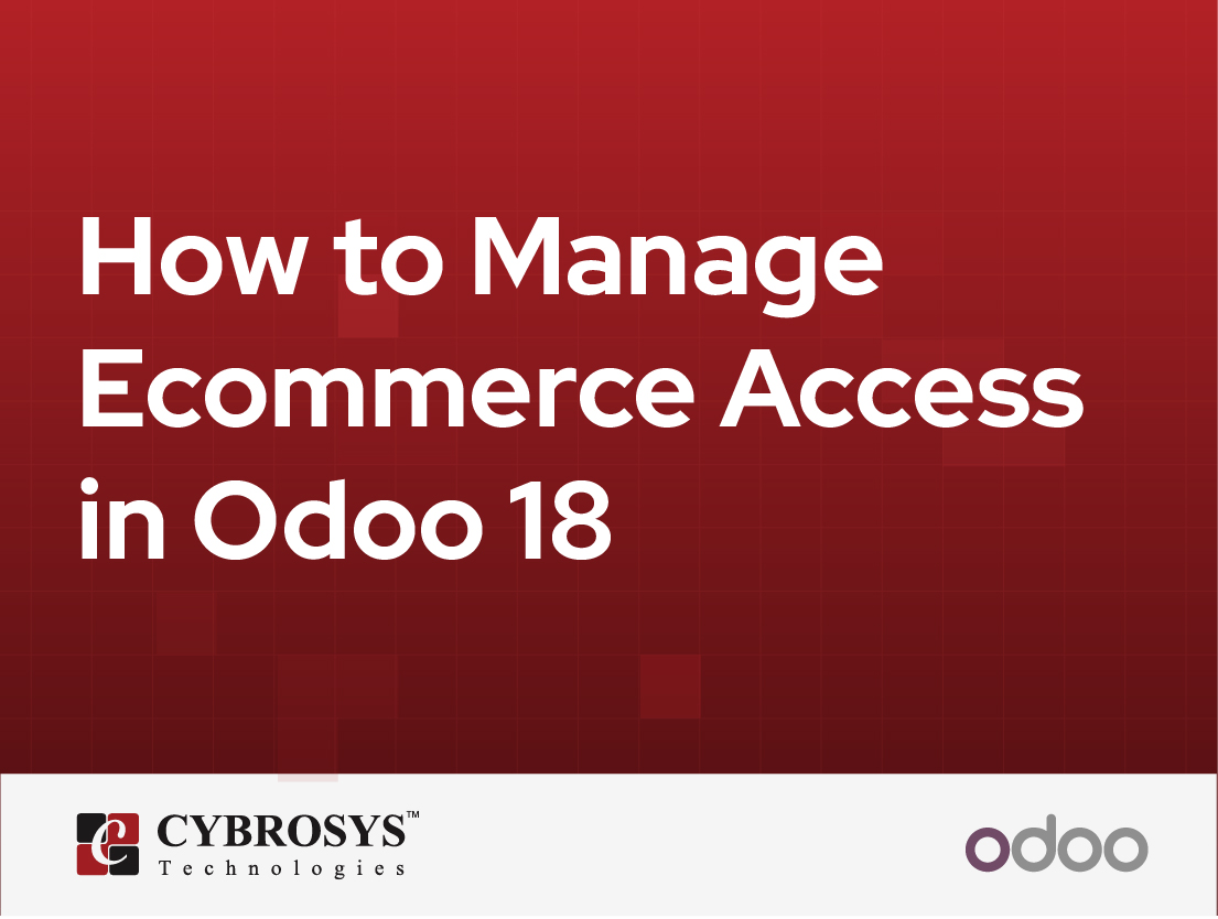  How to Manage Ecommerce Access in Odoo 18