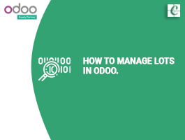  How to Manage Lots in Odoo?