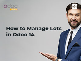  How to Manage Lots in Odoo 14