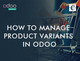  How to Manage Product Variants in Odoo