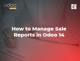  How to Manage Sale Reports in Odoo 14