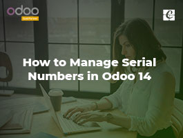  How to Manage Serial Numbers in Odoo 14