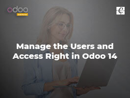  How to Manage the Users and Access Right in Odoo 14