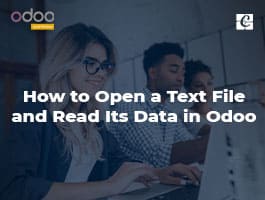  How to Open A Text File and Read Its Data In Odoo?