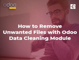  How to Remove Unwanted Files with Odoo Data Cleaning Module