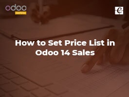  How to Set Price List in Odoo 14 Sales
