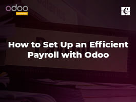  How to Set Up an Efficient Payroll with Odoo