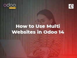  How to Use Multi Websites in Odoo 14