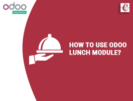  How to Use Odoo Lunch Module?