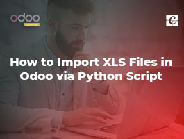  How to Import XLS Files in Odoo via Python Script