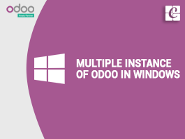  How to Install Multiple Instances of Odoo on Windows?