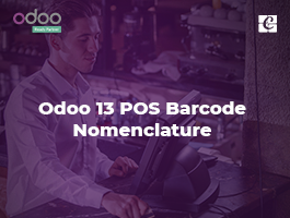  Odoo 13 POS Barcode Nomenclature