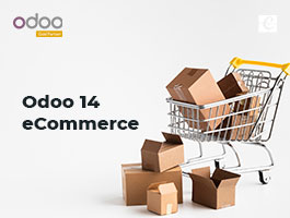  Odoo 14 eCommerce