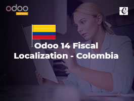  Odoo 14 Fiscal Localization - Colombia