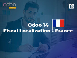  Odoo 14 Fiscal Localization - France