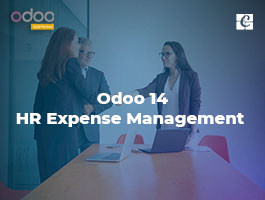  Odoo 14 HR Expense Management