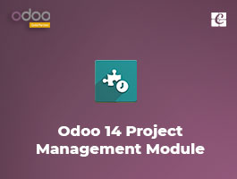  Odoo 14 Project Management Module