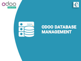  What is Odoo Database Management?