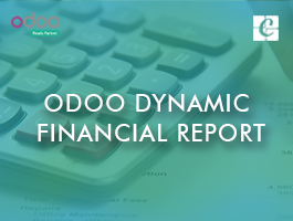  Odoo Dynamic Financial Report