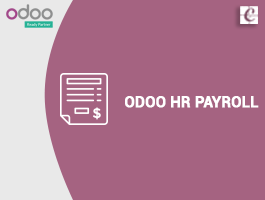  Odoo HR Payroll
