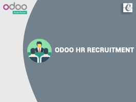  Odoo HR Recruitment