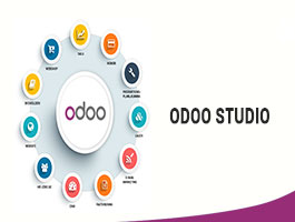 Odoo Studio