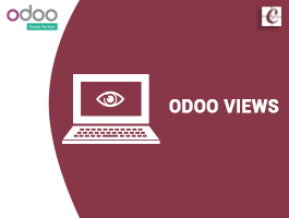  Odoo Views